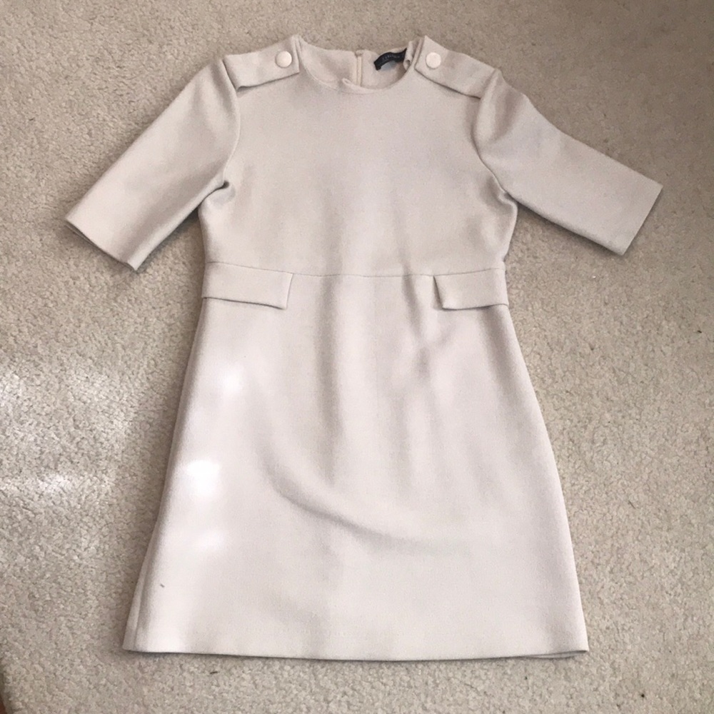 Sophisticated Zara Dress!